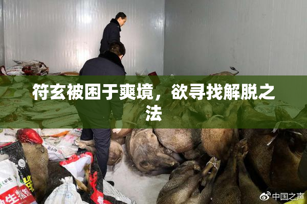 符玄被困于爽境，欲寻找解脱之法