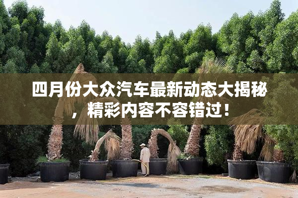 四月份大众汽车最新动态大揭秘，精彩内容不容错过！