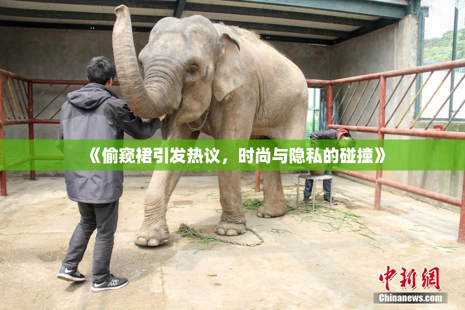 《偷窥裙引发热议，时尚与隐私的碰撞》
