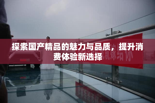 探索国产精品的魅力与品质，提升消费体验新选择