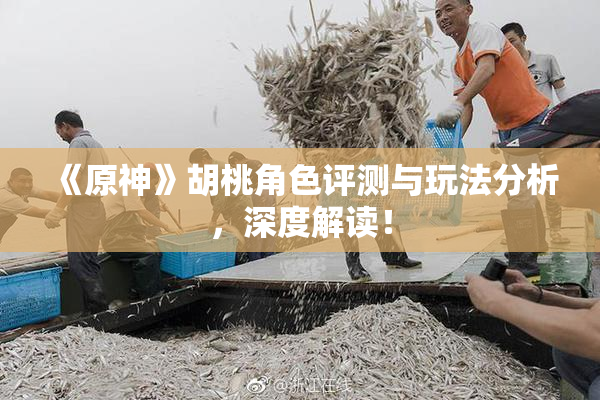《原神》胡桃角色评测与玩法分析，深度解读！