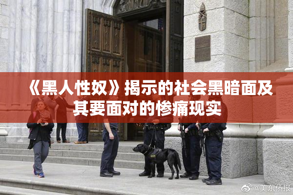 《黑人性奴》揭示的社会黑暗面及其要面对的惨痛现实