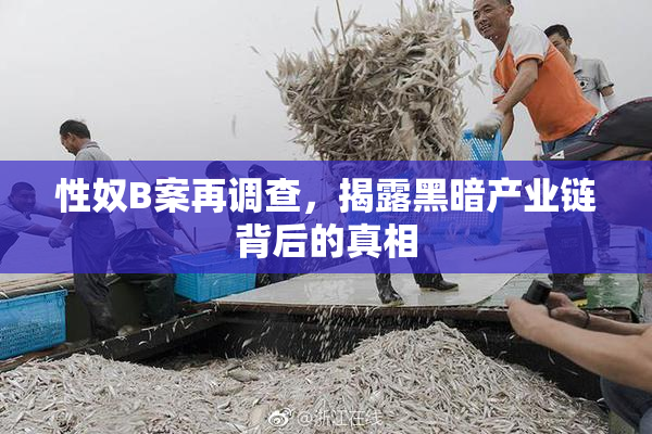 性奴B案再调查，揭露黑暗产业链背后的真相