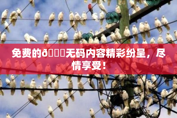 免费的🔞无码内容精彩纷呈，尽情享受！