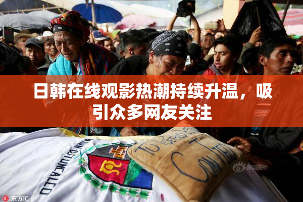 日韩在线观影热潮持续升温，吸引众多网友关注