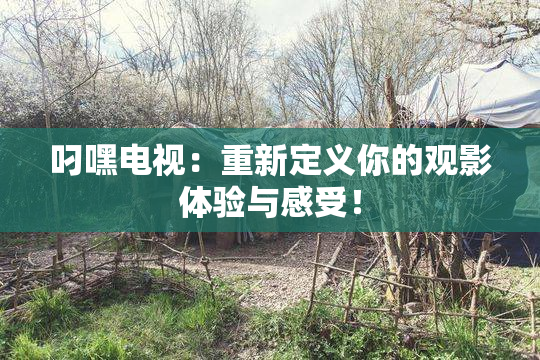 叼嘿电视：重新定义你的观影体验与感受！