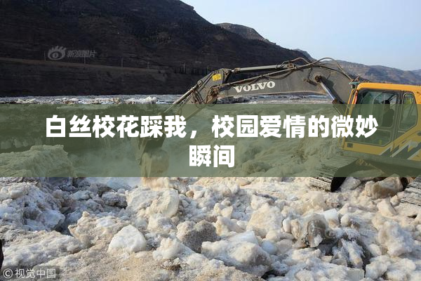 白丝校花踩我，校园爱情的微妙瞬间