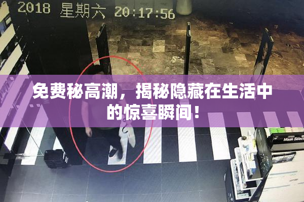 免费秘高潮，揭秘隐藏在生活中的惊喜瞬间！