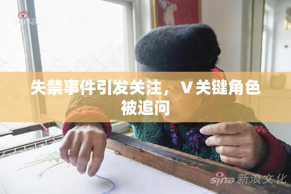 失禁事件引发关注，Ⅴ关键角色被追问