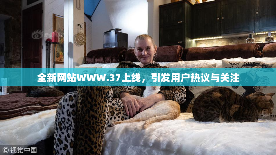 全新网站WWW.37上线，引发用户热议与关注