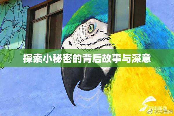 探索小秘密的背后故事与深意