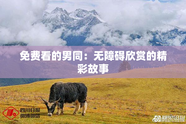 免费看的男同：无障碍欣赏的精彩故事