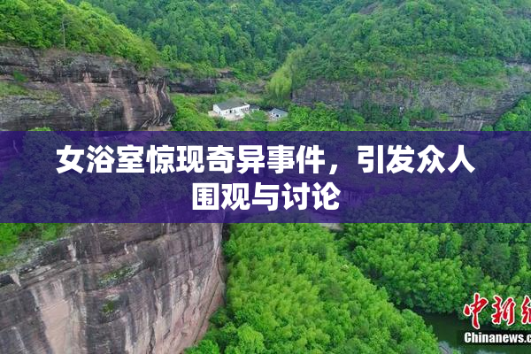 女浴室惊现奇异事件，引发众人围观与讨论