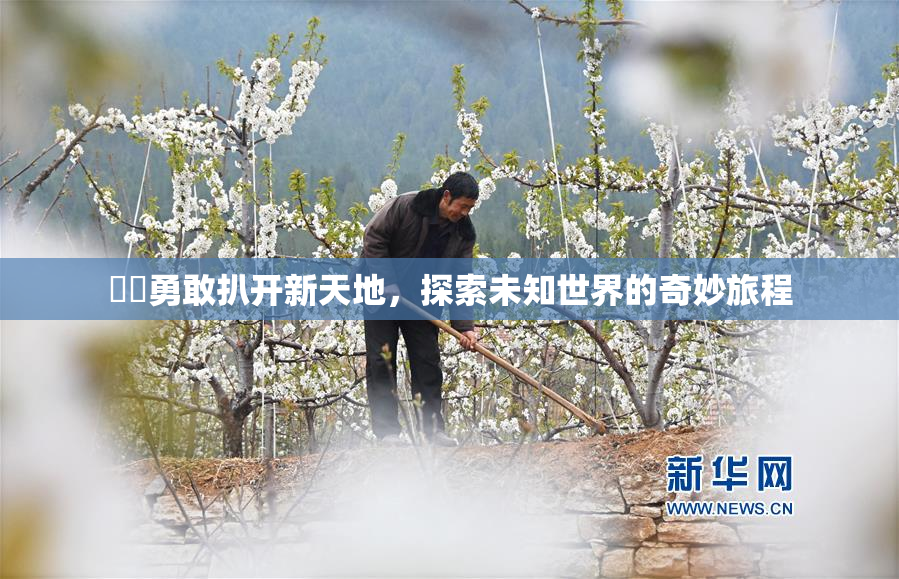 妺妺勇敢扒开新天地，探索未知世界的奇妙旅程