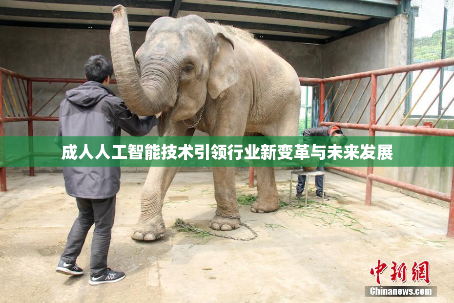 成人人工智能技术引领行业新变革与未来发展