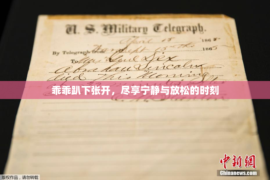 乖乖趴下张开，尽享宁静与放松的时刻