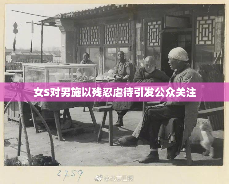 女S对男施以残忍虐待引发公众关注