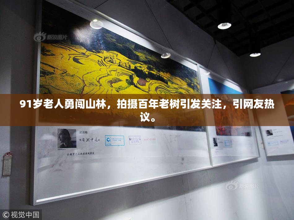 91岁老人勇闯山林，拍摄百年老树引发关注，引网友热议。