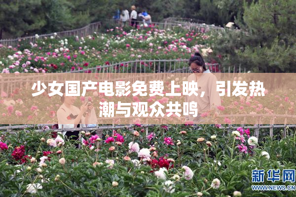 少女国产电影免费上映，引发热潮与观众共鸣