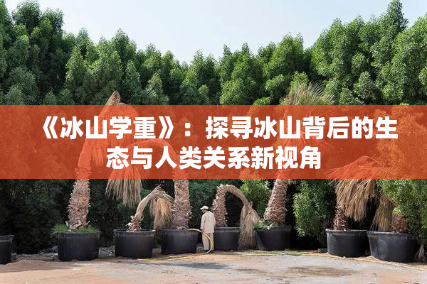 《冰山学重》：探寻冰山背后的生态与人类关系新视角