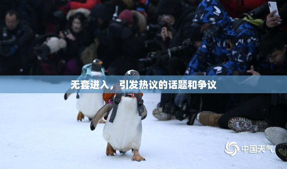 无套进入，引发热议的话题和争议