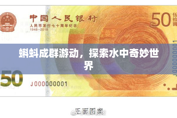 蝌蚪成群游动，探索水中奇妙世界