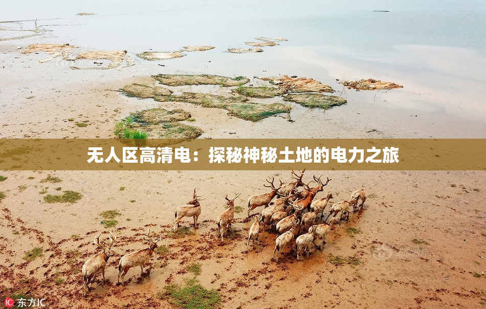 无人区高清电：探秘神秘土地的电力之旅