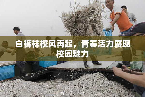 白裤袜校风再起，青春活力展现校园魅力