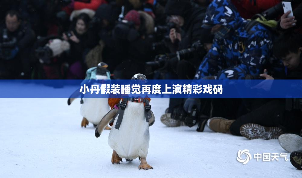 小丹假装睡觉再度上演精彩戏码