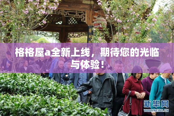 格格屋a全新上线，期待您的光临与体验！