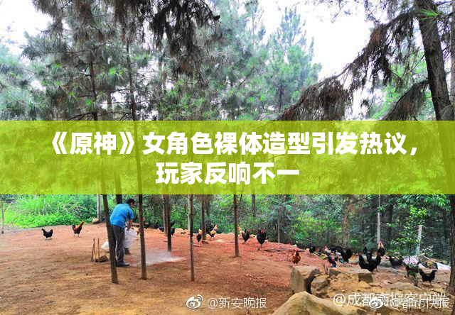 《原神》女角色裸体造型引发热议，玩家反响不一