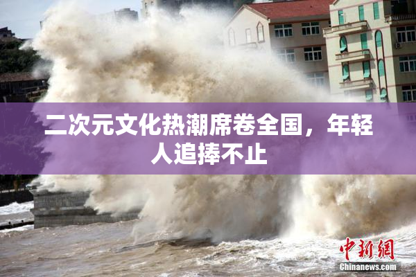 二次元文化热潮席卷全国，年轻人追捧不止