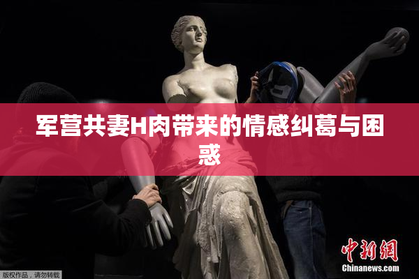 军营共妻H肉带来的情感纠葛与困惑