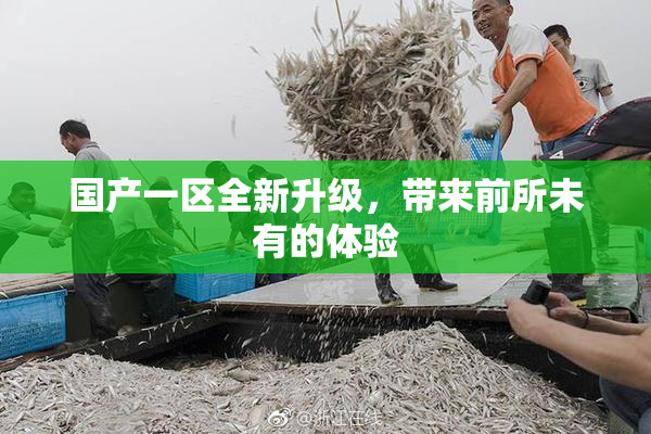 国产一区全新升级，带来前所未有的体验
