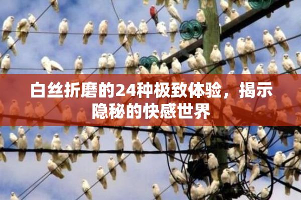 白丝折磨的24种极致体验，揭示隐秘的快感世界