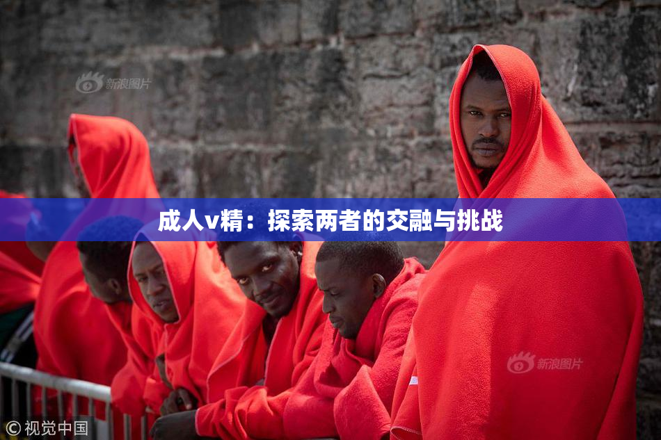 成人v精：探索两者的交融与挑战