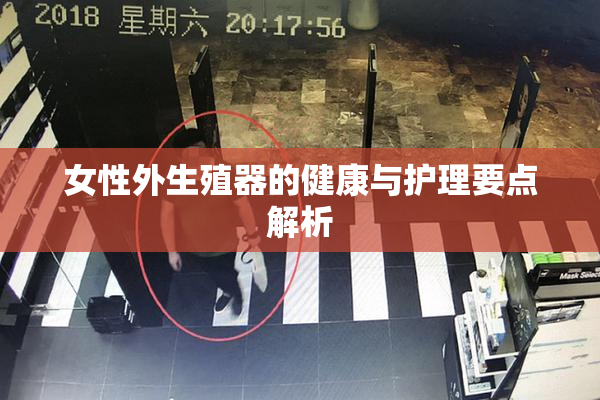 女性外生殖器的健康与护理要点解析
