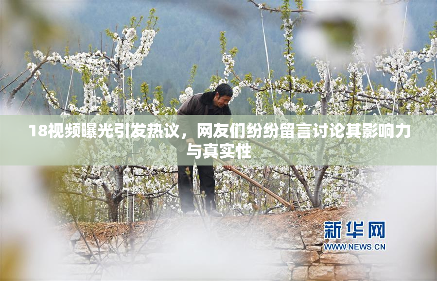 18视频曝光引发热议，网友们纷纷留言讨论其影响力与真实性