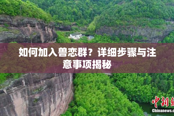 如何加入兽恋群？详细步骤与注意事项揭秘