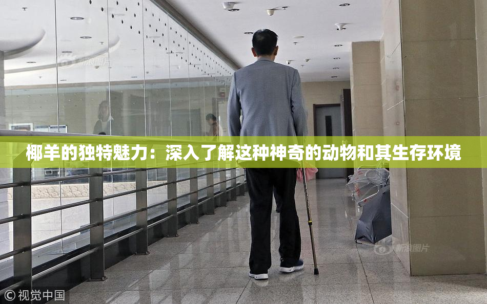 椰羊的独特魅力：深入了解这种神奇的动物和其生存环境