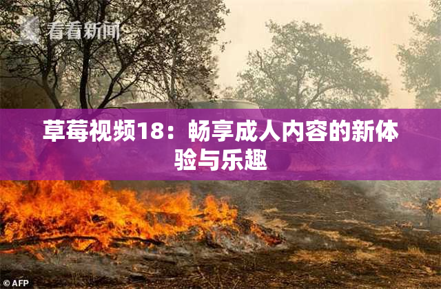 草莓视频18：畅享成人内容的新体验与乐趣