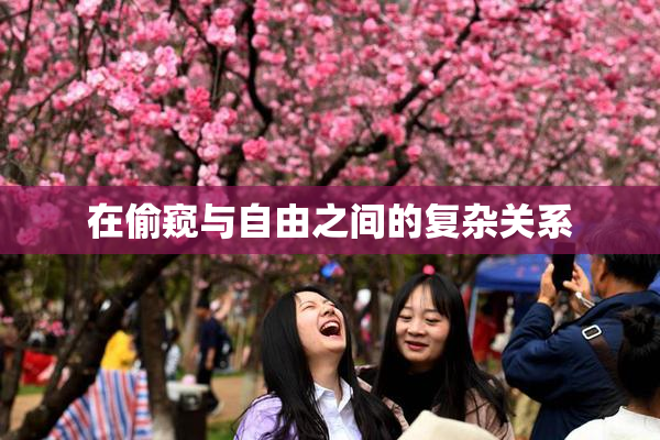 在偷窥与自由之间的复杂关系