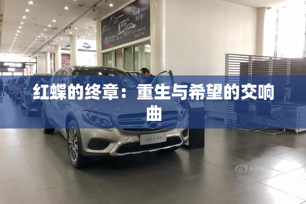 红蝶的终章：重生与希望的交响曲