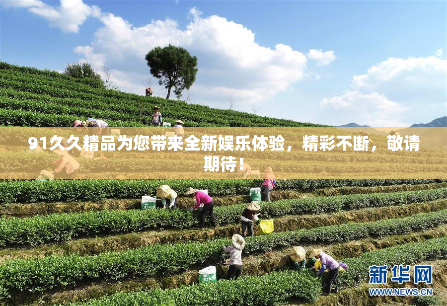 91久久精品为您带来全新娱乐体验，精彩不断，敬请期待！