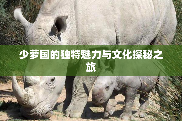 少萝国的独特魅力与文化探秘之旅