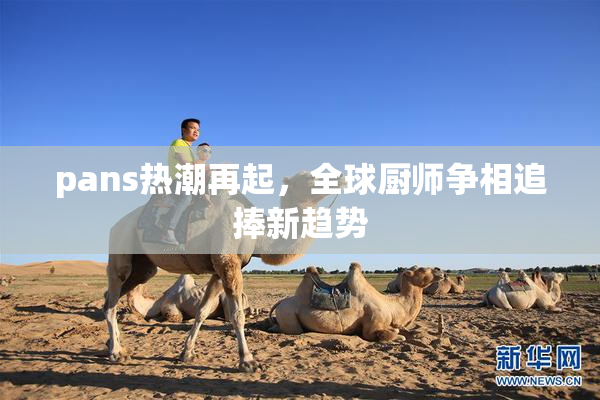 pans热潮再起，全球厨师争相追捧新趋势
