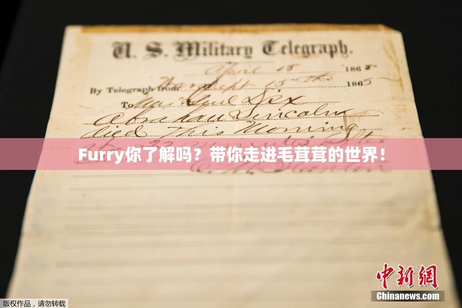 Furry你了解吗？带你走进毛茸茸的世界！
