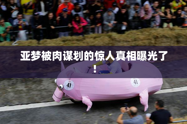 亚梦被肉谋划的惊人真相曝光了！
