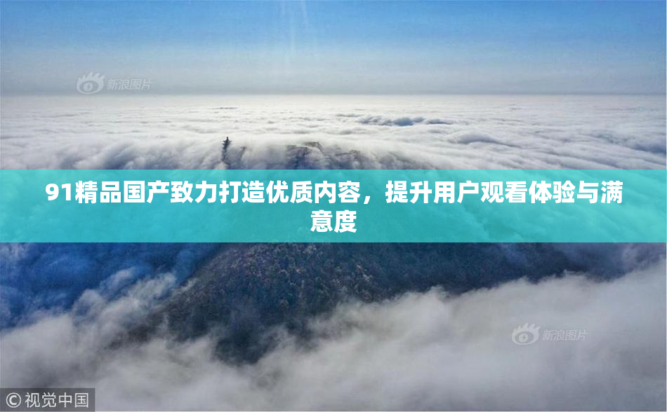 91精品国产致力打造优质内容，提升用户观看体验与满意度