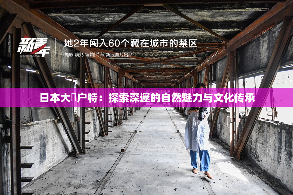 日本大隂户特：探索深邃的自然魅力与文化传承